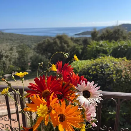 Tatil parkı U Pirellu 3*