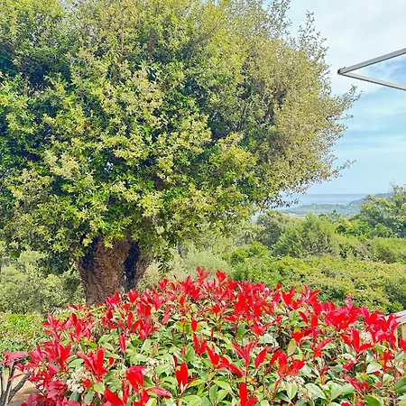 U Pirellu Tatil parkı Porto-Vecchio (Corsica)