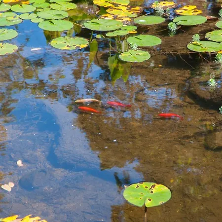 Résidence U Pirellu 3*