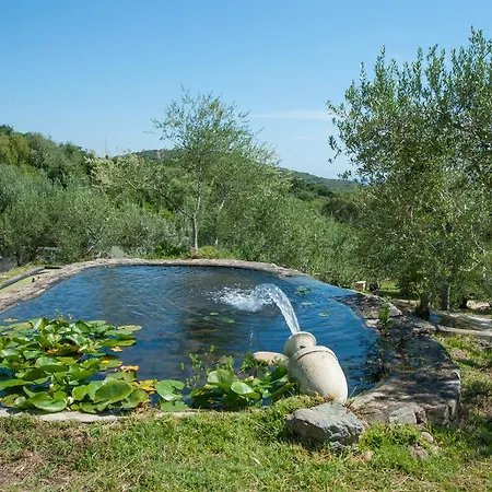 Résidence U Pirellu Village de vacances Porto-Vecchio (Corsica)