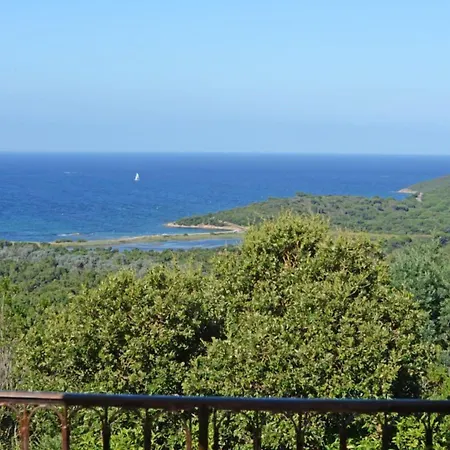 假日公园 U皮尔露酒店 维琪奥港