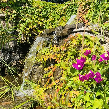 U皮尔露酒店 3* 维琪奥港