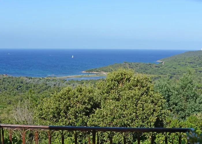 假日公园 U皮尔露酒店 维琪奥港