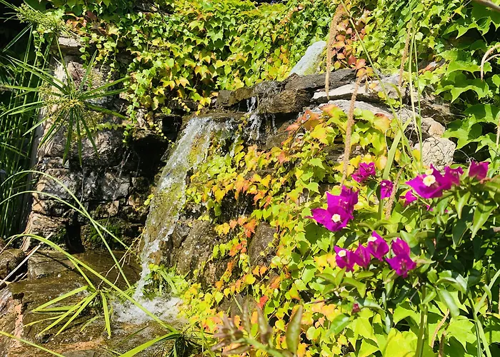 U皮尔露酒店 3* 维琪奥港